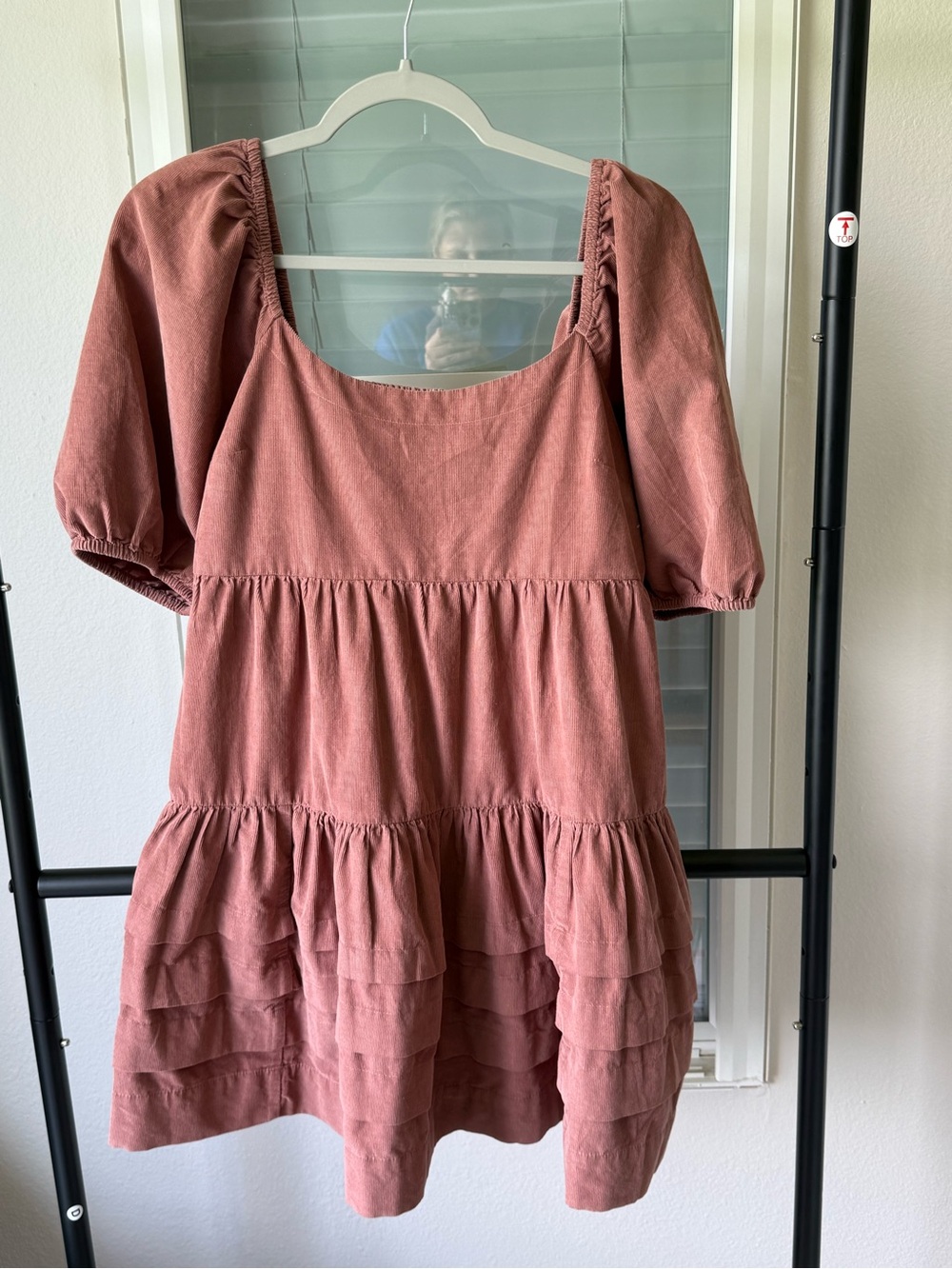 American Eagle Outfitters Dusty Rose Smocked Mini Dress